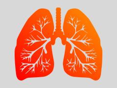 Illustratie van longen