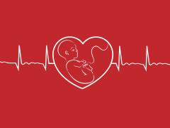 Illustratie van een hartslag in de vorm van hart met baby erin