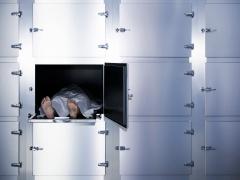 Foto: PixHound/shutterstock 