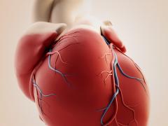 Illustratie van een hart