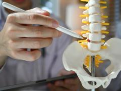 Wervelkolom en bekken