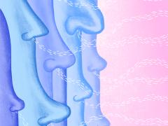 Illustratie van verschillende neuzen die ademen