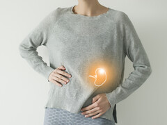 Illustratie van torso met oplichtende milt