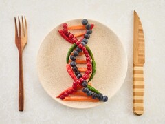 Illustratie van een bord eten 