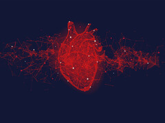 Beeld: Hanna Sova/iStock.com Illustratie van een hart