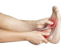 Beeld: horillaz/iStock.com Voet waarin de pezen zichtbaar zijn