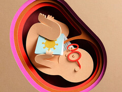 Beeld: Anna Bay Illustratie van baby in de baarmoeder