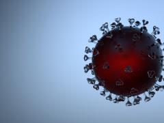 Covid virus