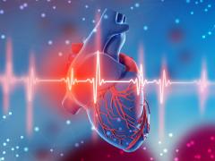 Illustratie van een hart gecombineerd met hartslag