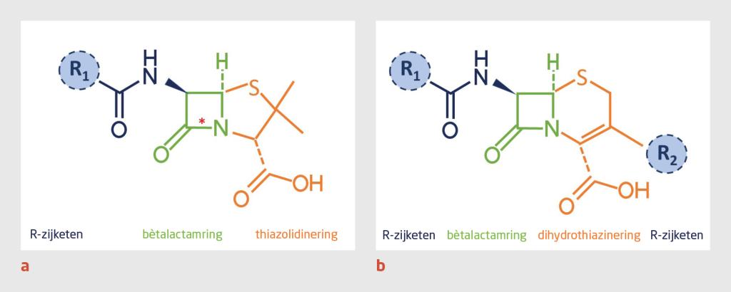 Figuur 1 | Molecuulstructuur van penicillines en cefalosporines