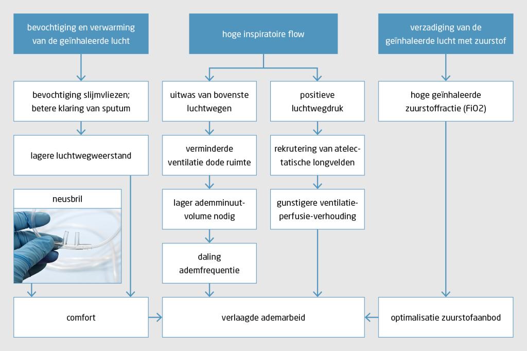 Figuur 2 | Werkingsmechanismen van zuurstoftoediening met hoge nasale flow