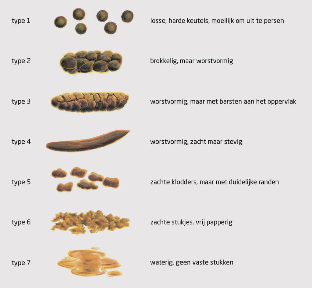 Figuur 1 | De Bristol-stoelgangkaart